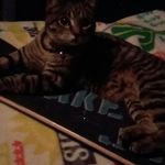 Eric Holmes - @do_a_kickflip54 - Instagram
