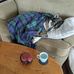 Eric Holt - Facebook
