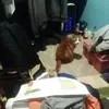 Eric Holt - @ehpikmin - TikTok