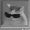 NotCare - @ericholubis7 - TikTok