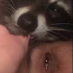 Eric Hoppe - @lovemycoons - Instagram