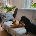 Erik Hoppe - Facebook