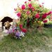 Erich Hornung - Facebook