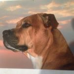 Eric House - @housecall703 - Instagram