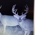 Eric Howard - @clear_creek_whitetails_eric - Instagram