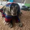 Eric Hower - @erichower386 - TikTok