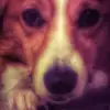 erichoyt8 - @erichoyt8 - TikTok