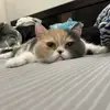 Eric Huang - @eric.huang989 - TikTok