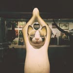 Eric Huang - @erichuang624 - Instagram