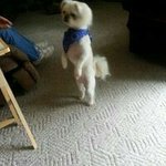 Eric Huebner - @huebner_06 - Instagram
