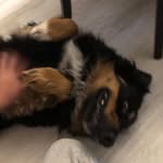 Macerick Huelskamp - @macerickhuelskamp - Instagram