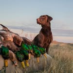 Eric Hughston - @ehughstonphoto - Instagram
