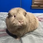 Eric Hulett - @hulett.eric - Instagram