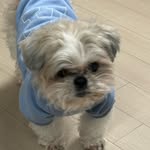 @erichusbandyuchae - Instagram