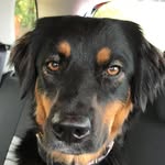 Erik Husén - @erikhusen - Instagram
