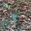 Eric Hutton782 - @erichutton782 - TikTok