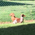 Eric Hutter - @ejh69 - Instagram