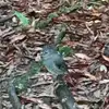 Eric Hutton782 - @erichutton782 - TikTok