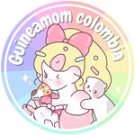 Tienda para exóticos conejos cobayas erizos hurones hamster - @guineamom.colombia - Instagram