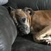 Eric Ummel - Facebook