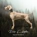 Eric Clapton Imperial Weimaraner - Facebook