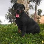 Eric D Ortiz Infante - @ericortizinfante - Instagram