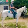 Erik infante - @erik.infante3 - TikTok