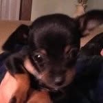 Eric Iniguez - @eric_iniguez - Instagram