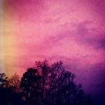 erica.inness11 - @erica.inness11 - Instagram