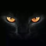 Eric Irving - @d156641162 - Instagram