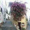 Eric Isabelle - @eric.isabelle4 - TikTok