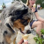 Éric-isabelle Vigneault - @franky_alberta__aussie - Instagram