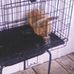 Eric Ison - Facebook