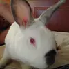 eric izumi - @eric.izumi - TikTok