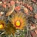 Eric Jablonski - Facebook