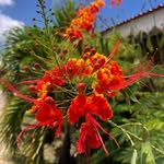 Éric Janvier - @ricco.janv - Instagram