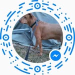 Eric Jarrell - @ericjarrell - Instagram