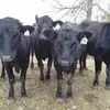 Eric Jarrell - @eric.jarrell7 - TikTok