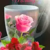 user9639781791653 - @ericjeffery6 - TikTok