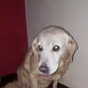 ericjep - @ericjep - TikTok