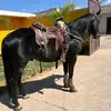 Eric Jerez665 - @erickjerez28 - TikTok