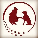 Eric Jonas - @pfotendynamic - Instagram