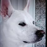 Eric Jonasson - @rickjonasson - Instagram