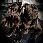 Eric_jonkman - @eric_jonkman - Instagram