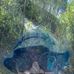 Natural Rhythm Photography - By Eric Joyner - Facebook