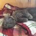 Eric Juntunen - Facebook