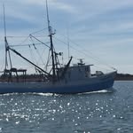 Eric juntunen - @shortbeachfish - Instagram