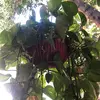 justice Eric102 - @justice.eric102 - TikTok