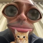 Eric Justus - @papawerrk - Instagram