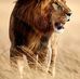 Eric Kahang - Facebook